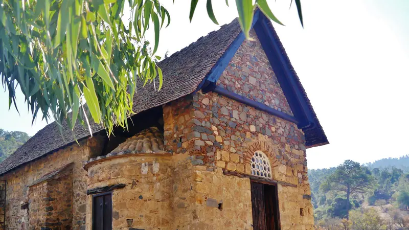 Die byzantinische Steinkirche Panagia tis Asinou im Troodos-Gebirge auf Zypern mit ihrem steilen Holzdach, unter Eukalyptusblättern und klarem Himmel.