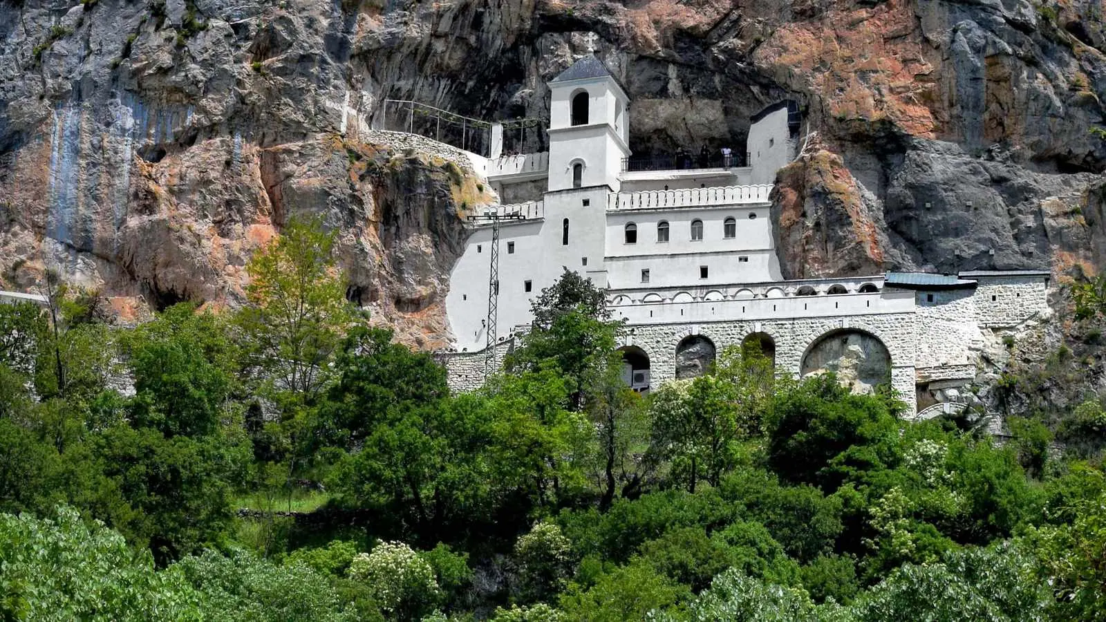 Mănăstirea albă Ostrog, zidită într-un perete vertical de stâncă din Muntenegru, deasupra unei pante cu copaci verzi, primăvara.